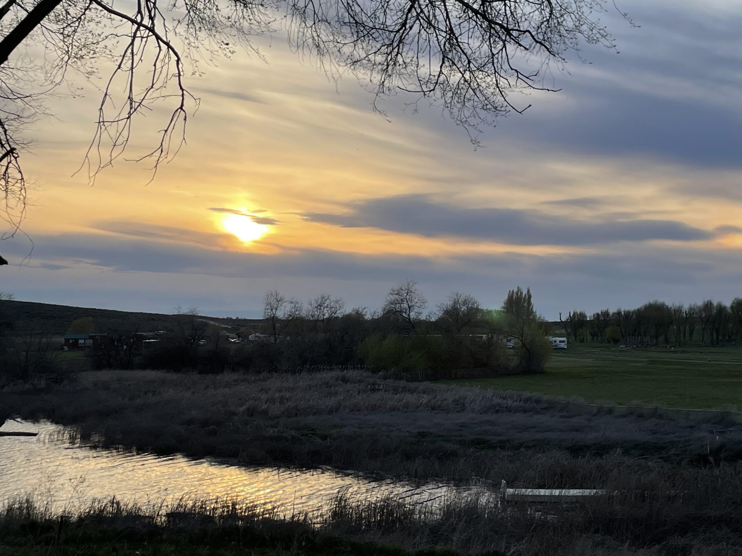 Our beautiful landscape! Warden Lake RV Resort