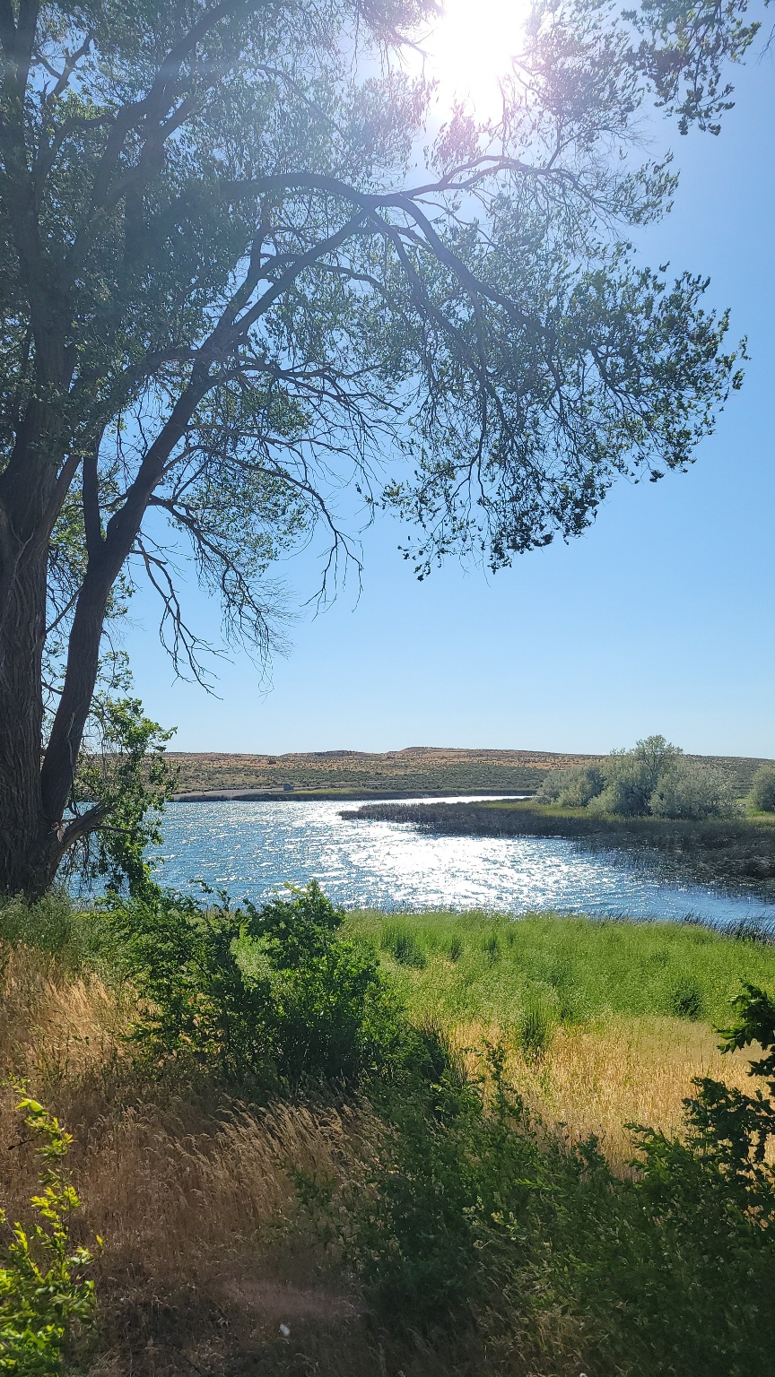 Warden Lake RV Resort Blog RV Campsites and Vacation Rental News