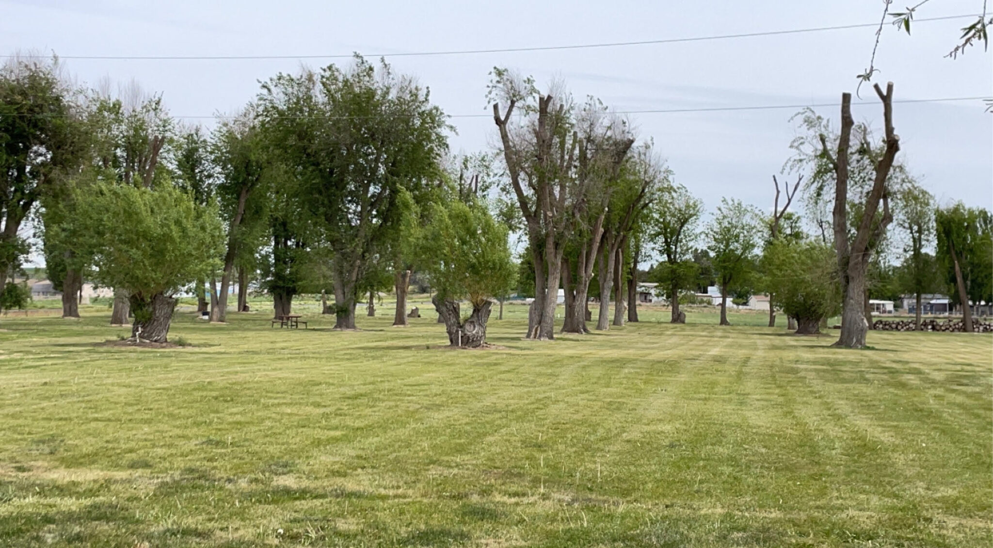 Our beautiful landscape! Warden Lake RV Resort